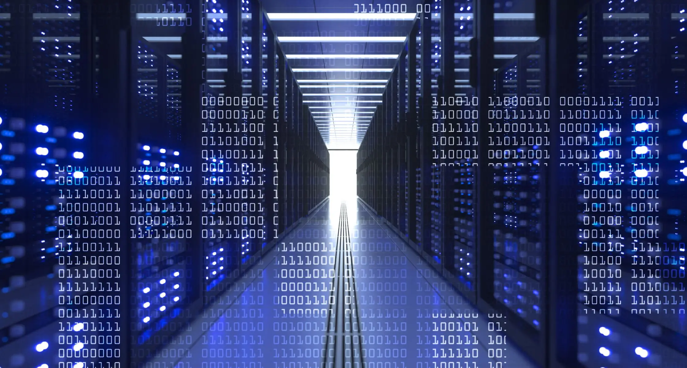 database